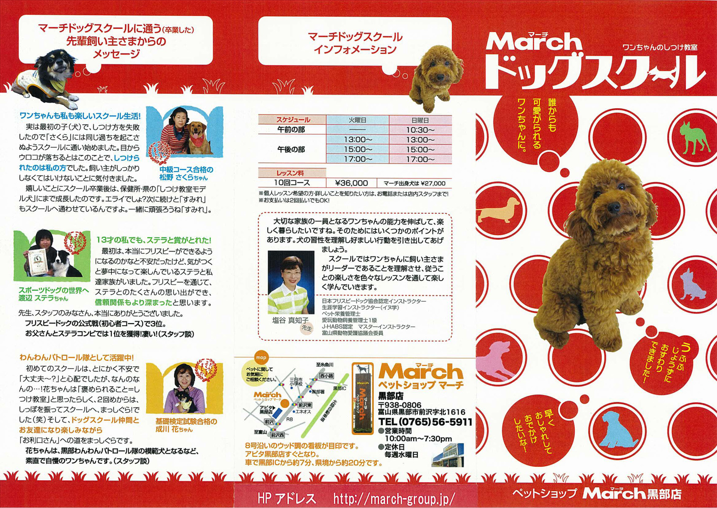 ペットショップマーチ黒部店 黒部カタログ Com
